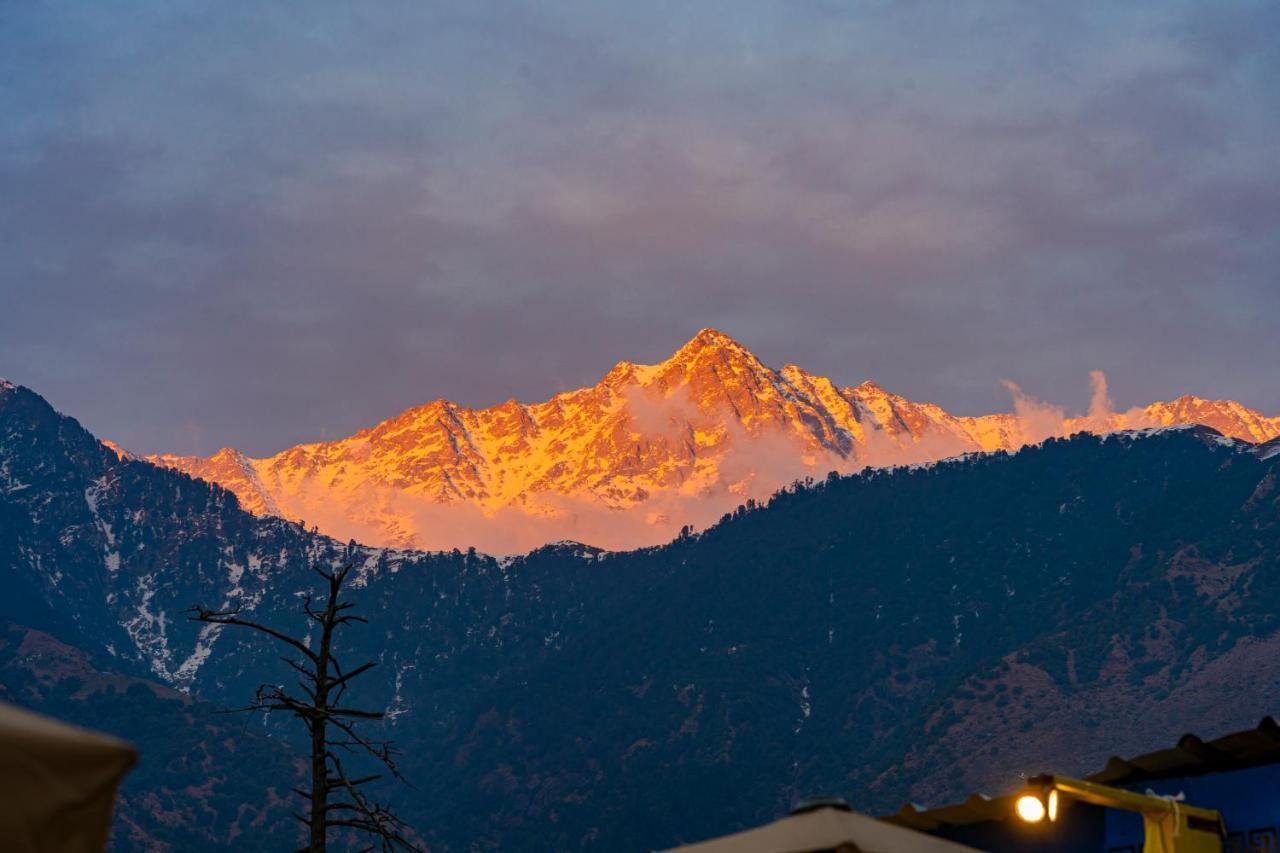 The Hosteller Mcleodganj, Mall Road McLeod Ganj Εξωτερικό φωτογραφία